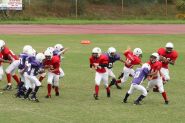 2008 PSLAA Ravens