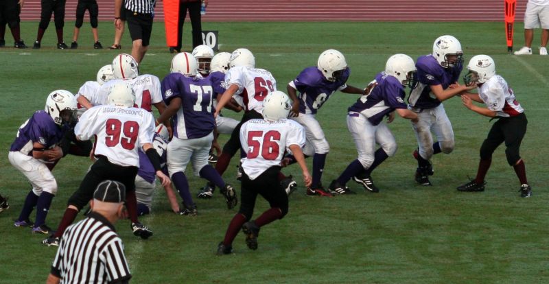 2008 PSLAA Ravens