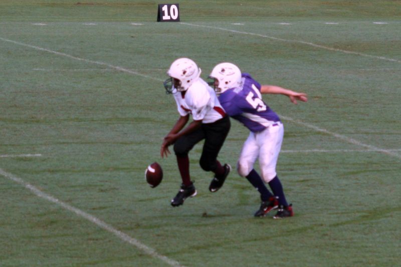 2008 PSLAA Ravens