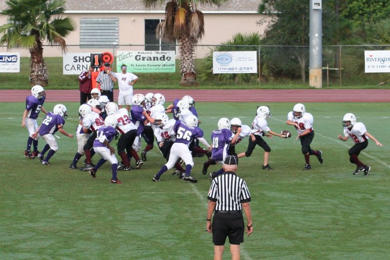 2008 PSLAA Ravens