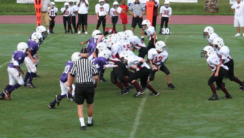 2008 PSLAA Ravens