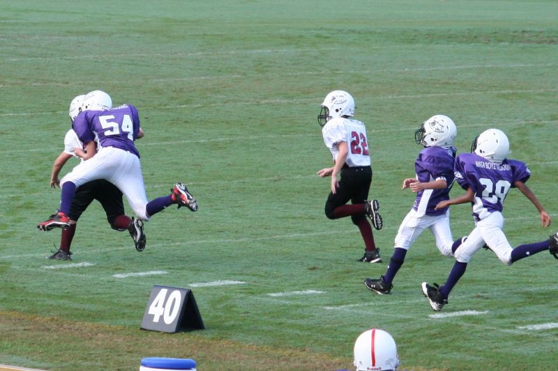 2008 PSLAA Ravens