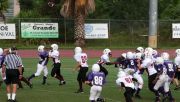 2008 PSLAA Ravens