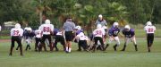 2008 PSLAA Ravens