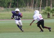 2008 PSLAA Ravens