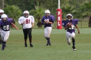 2008 PSLAA Ravens