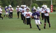 2008 PSLAA Ravens