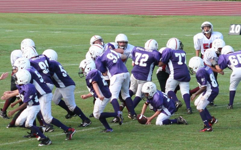 2008 PSLAA Ravens