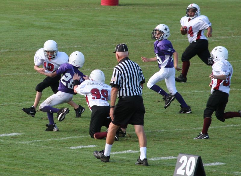 2008 PSLAA Ravens