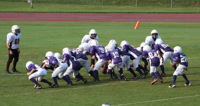 2008 PSLAA Ravens