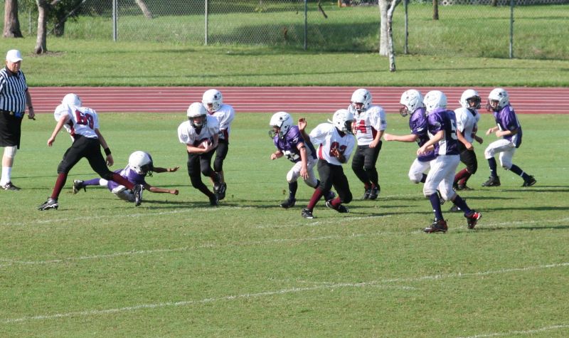 2008 PSLAA Ravens