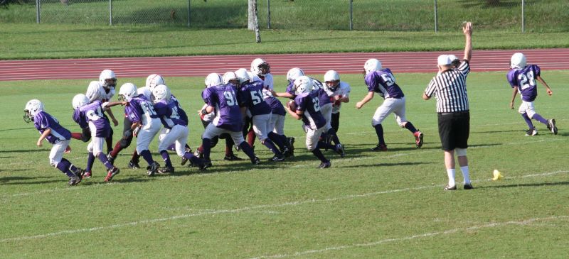 2008 PSLAA Ravens