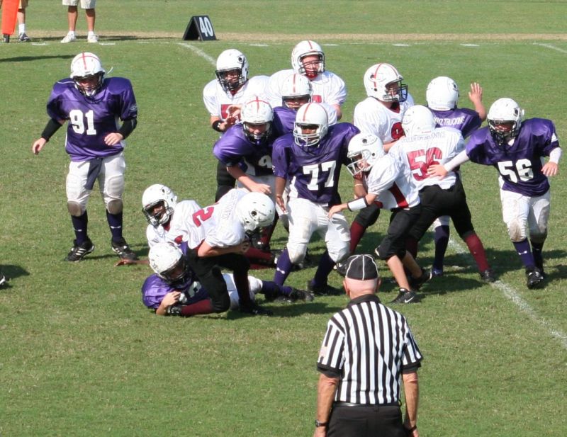 2008 PSLAA Ravens