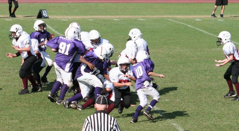 2008 PSLAA Ravens