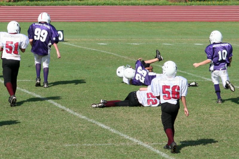 2008 PSLAA Ravens