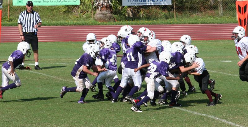 2008 PSLAA Ravens