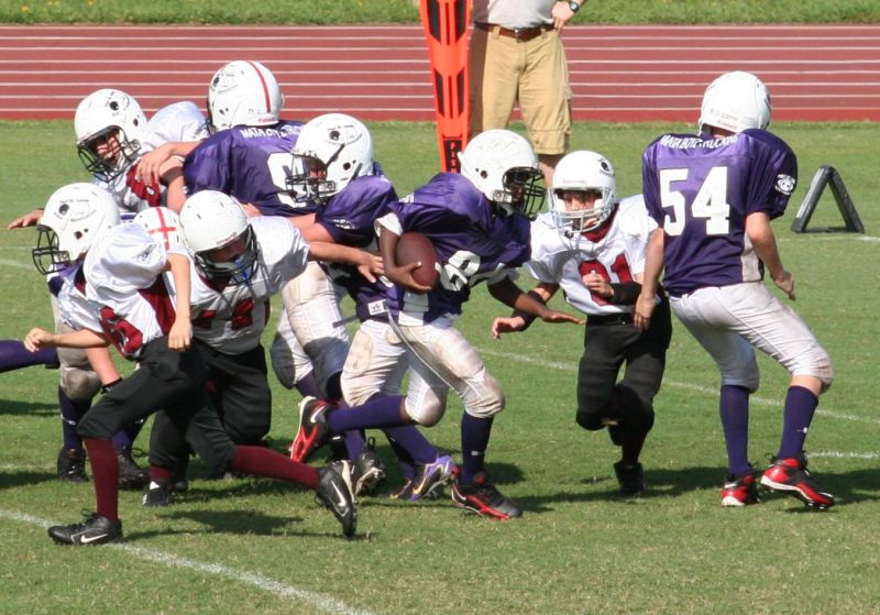 2008 PSLAA Ravens