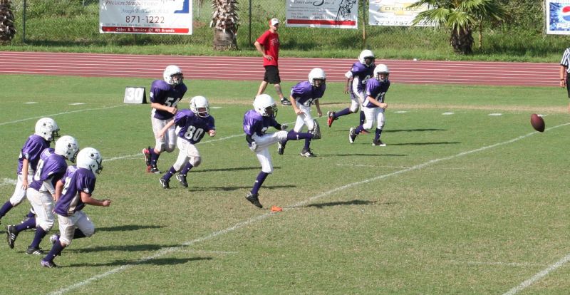 2008 PSLAA Ravens