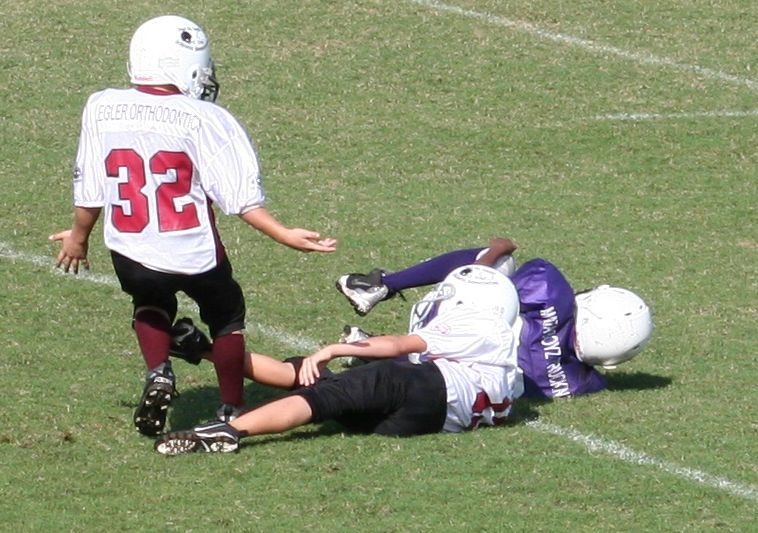 2008 PSLAA Ravens