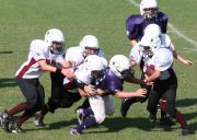 2008 PSLAA Ravens