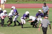 2008 PSLAA Ravens