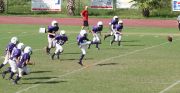 2008 PSLAA Ravens