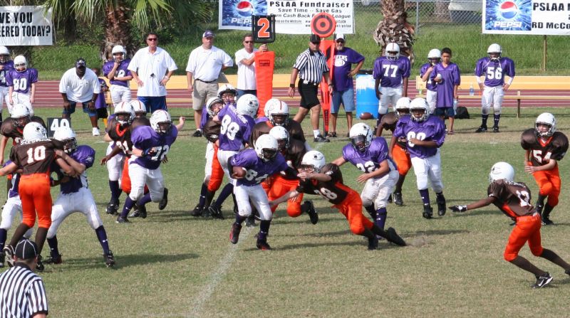 2008 PSLAA Ravens