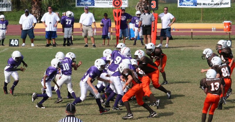 2008 PSLAA Ravens