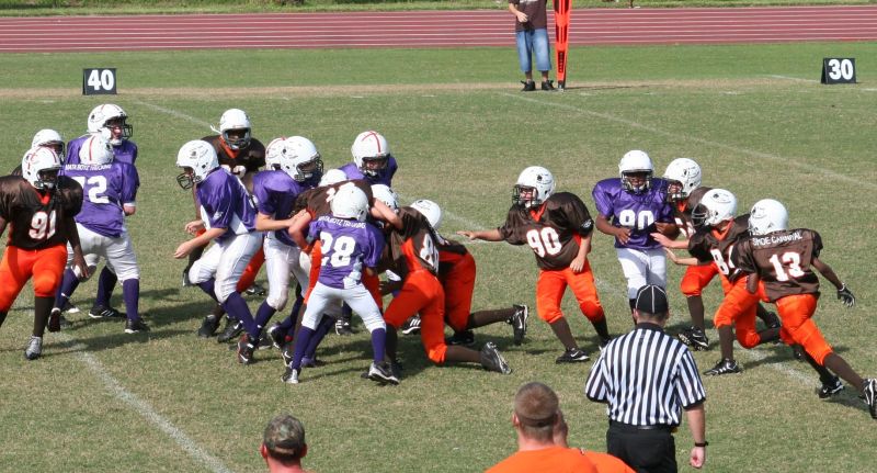 2008 PSLAA Ravens