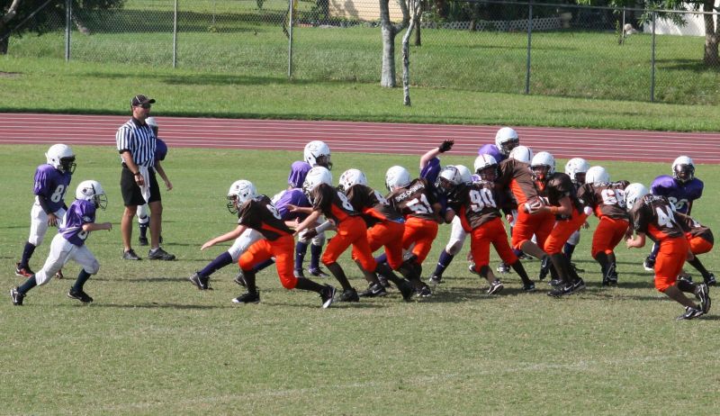 2008 PSLAA Ravens