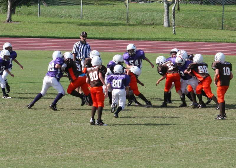 2008 PSLAA Ravens