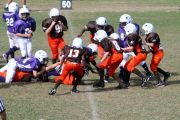 2008 PSLAA Ravens