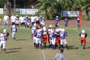 2008 PSLAA Ravens