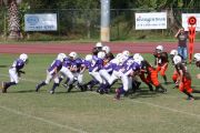 2008 PSLAA Ravens