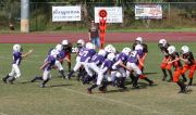 2008 PSLAA Ravens