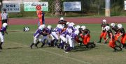 2008 PSLAA Ravens