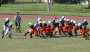 2008 PSLAA Ravens