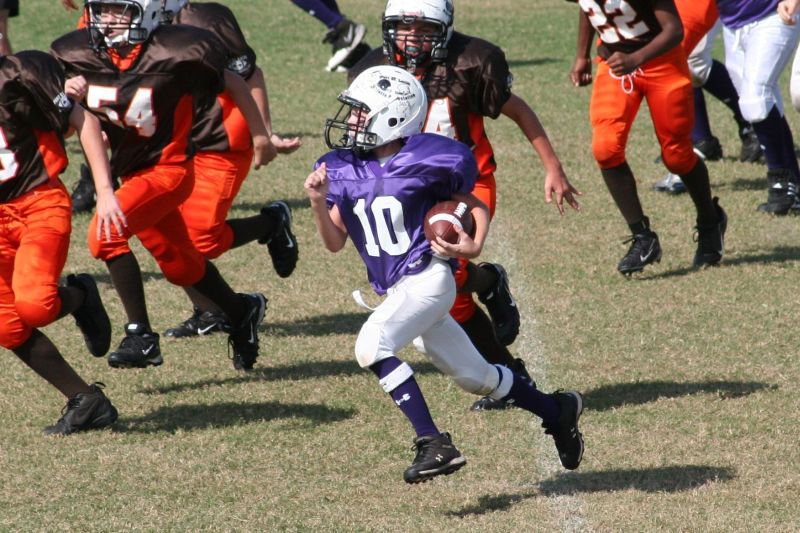 2008 PSLAA Ravens