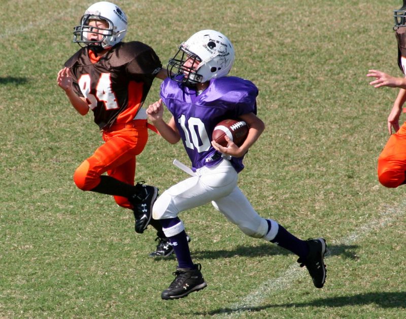 2008 PSLAA Ravens