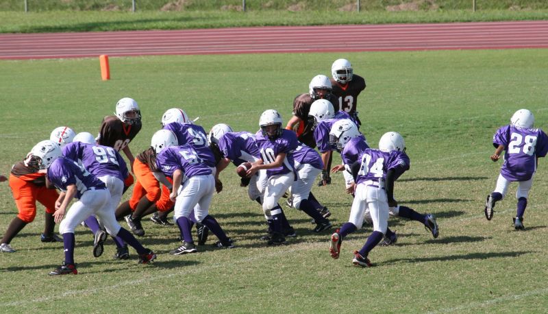 2008 PSLAA Ravens