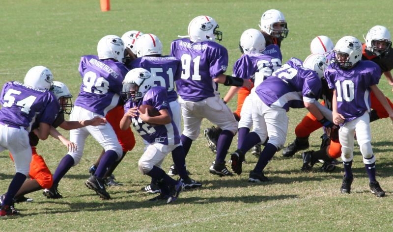 2008 PSLAA Ravens