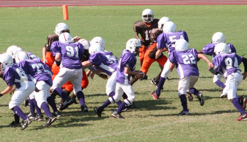 2008 PSLAA Ravens