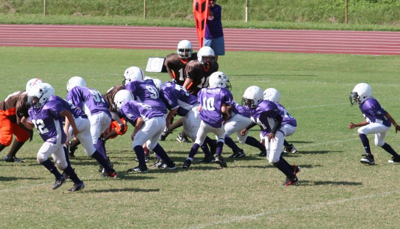 2008 PSLAA Ravens