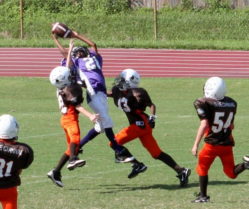 2008 PSLAA Ravens