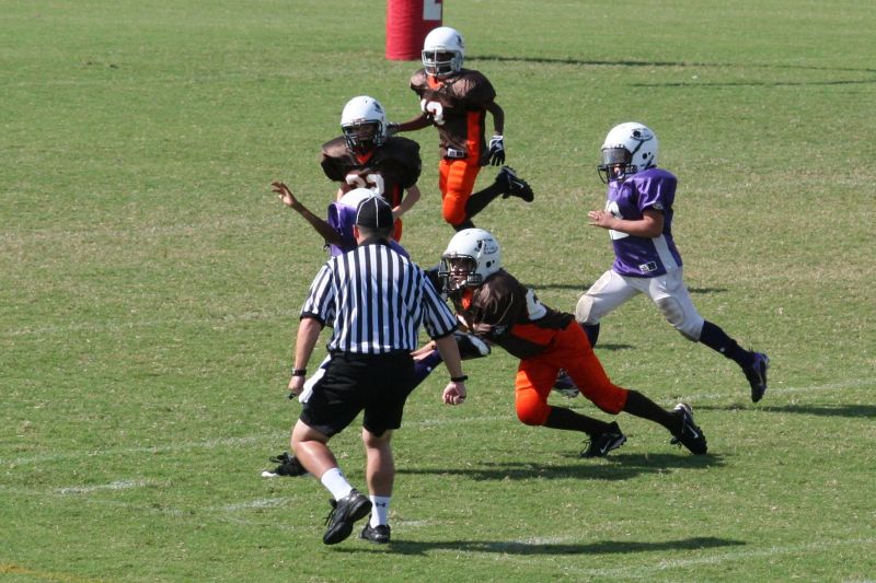 2008 PSLAA Ravens