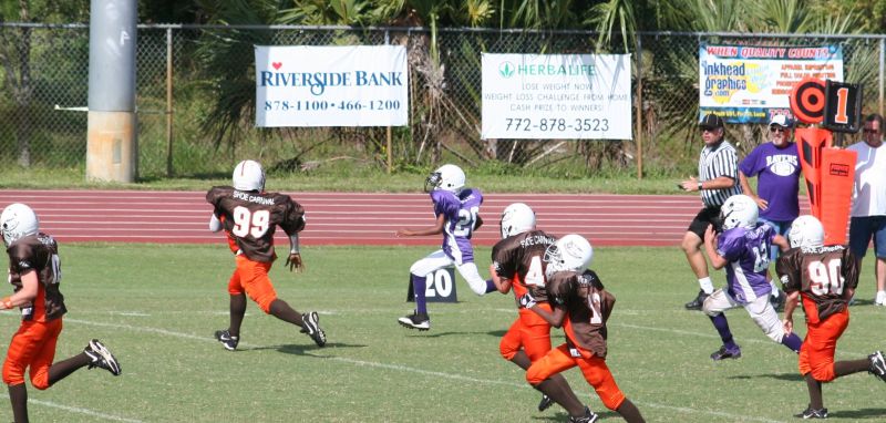 2008 PSLAA Ravens