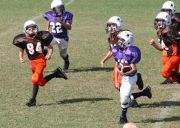 2008 PSLAA Ravens