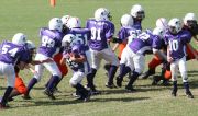 2008 PSLAA Ravens