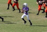 2008 PSLAA Ravens