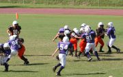 2008 PSLAA Ravens